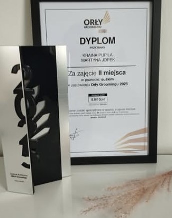 Dyplom Orły Groomingu 2025 dla Kraina Pupila – Martyna Jopek, II miejsce w powiecie suskim